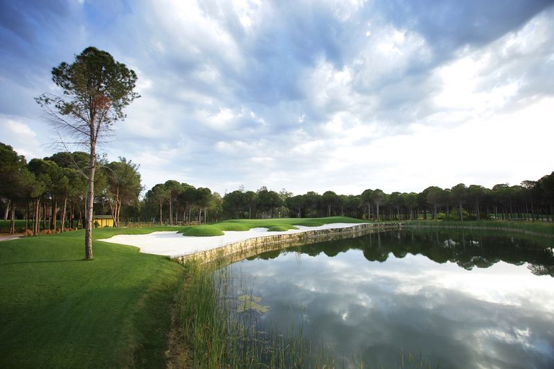 The Montgomerie Maxx Royal - 14th hole (2)