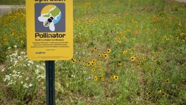 pollinators_sign