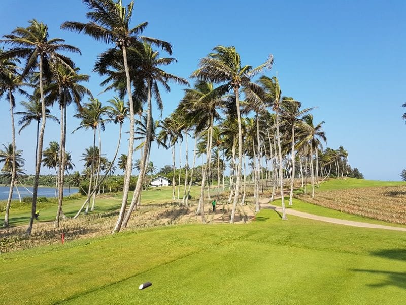 Hambantota palm trees edible golf courses