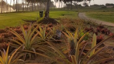 Hambantoto, Sri Lanka edible golf courses