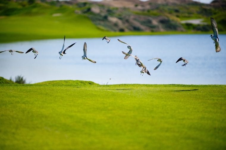 Al Mouj Golf Expands Its International Certifications for Environmental Excellence