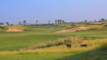 Saadiyat Beach Golf Club Abu Dhabi golf venues