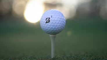 Bridgestone Golf Fairway Social e12 golf ball