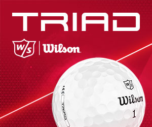 Wilson triad-banner-300x250