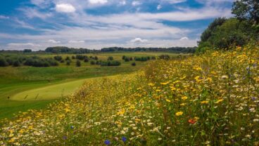 Farleigh Golf Club Operation Pollinator program 2021 Syngenta