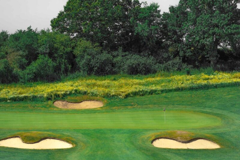 Farleigh Golf Club Operation Pollinator program 2021 Syngenta golf course