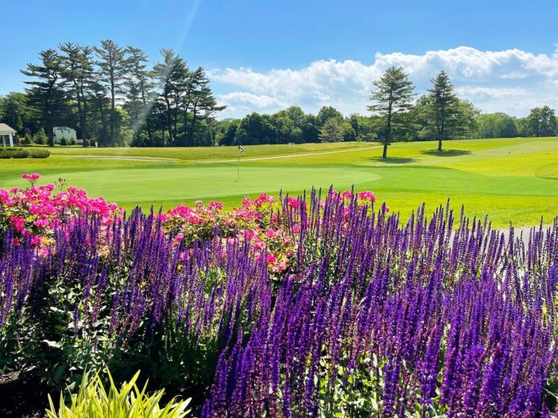 Westchester Hills Golf Club golf course with flowers