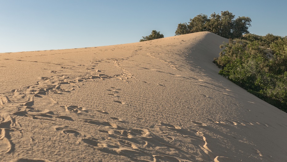 OLEADA Pacific Living & Golf sand dune